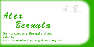 alex bernula business card